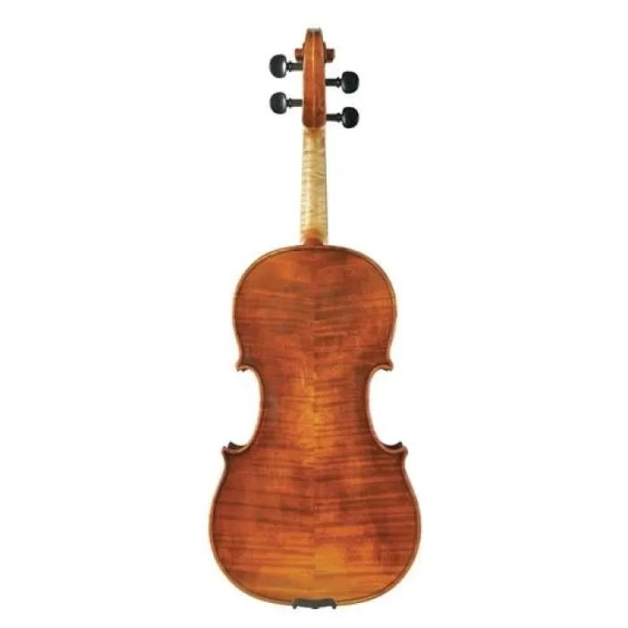 170 Juzek Professional Violin with Case