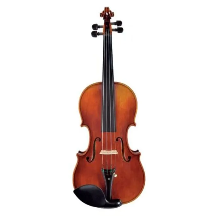 170 Juzek Professional Violin with Case