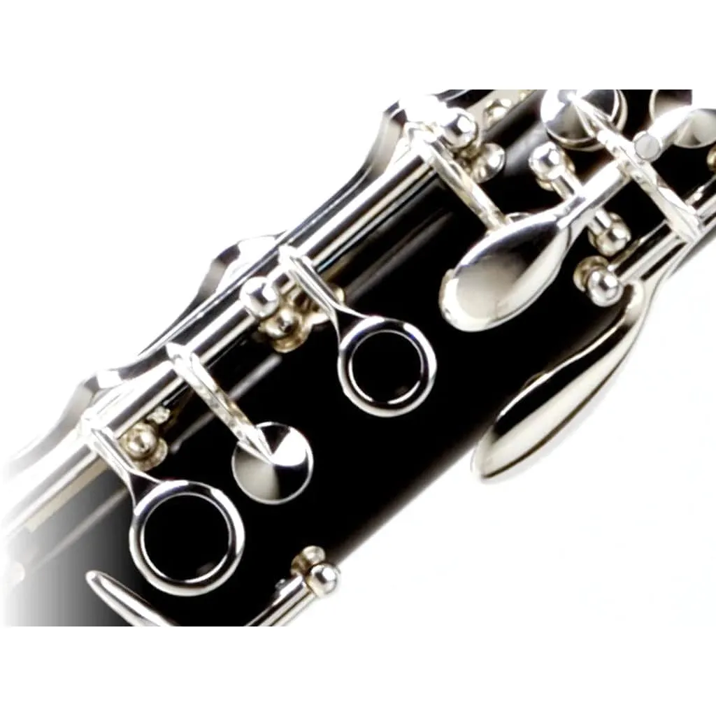 Buffet Crampon R13 Professional Bb Wood Clarinet with Silver-plated Keys