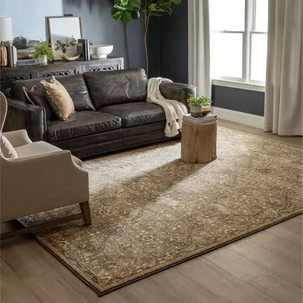 Euphoria 90647 90075 Galway Willow Grey Rug