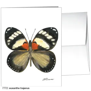 Euxanthe Trajanus, Greeting Card (7772)