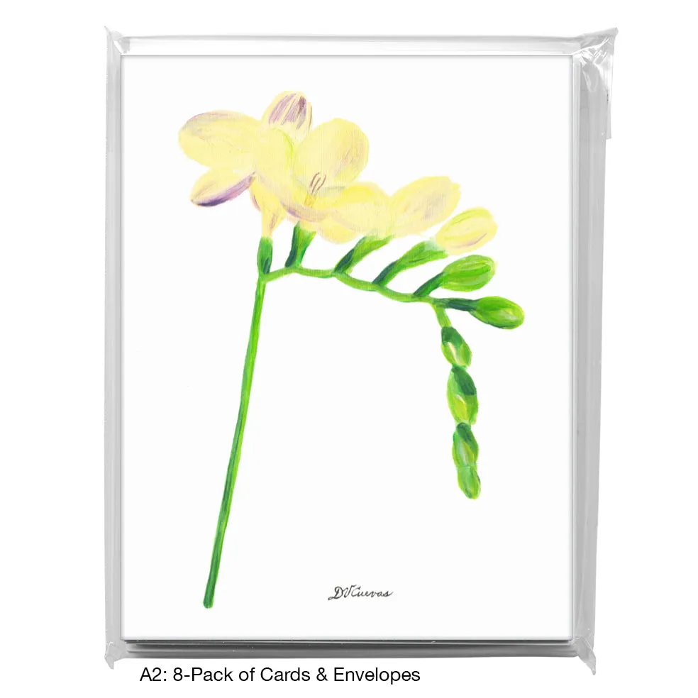 Freesia Light Shades, Greeting Card (8335)