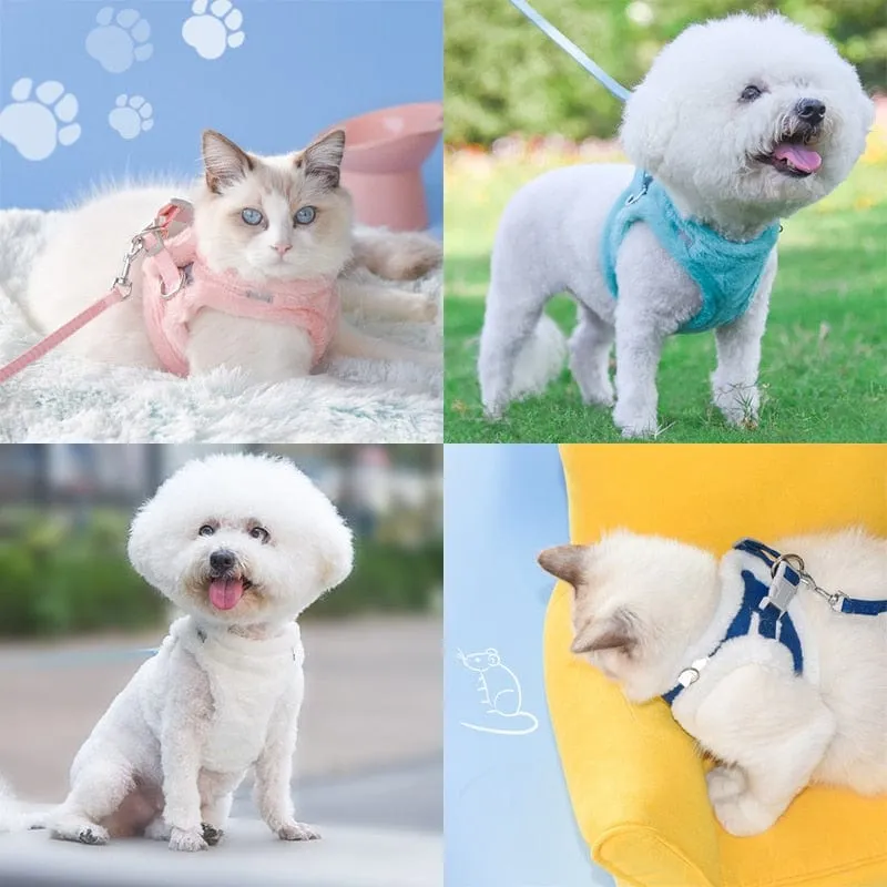 Luxurious Cat Harness Leash Sets