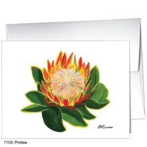 Protea, Greeting Card (7159)