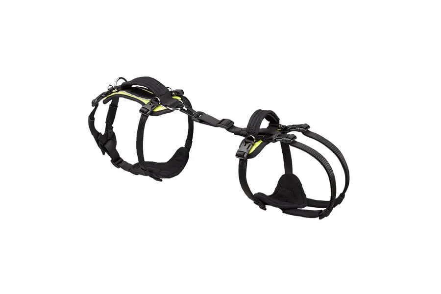 Small Conventional Harness