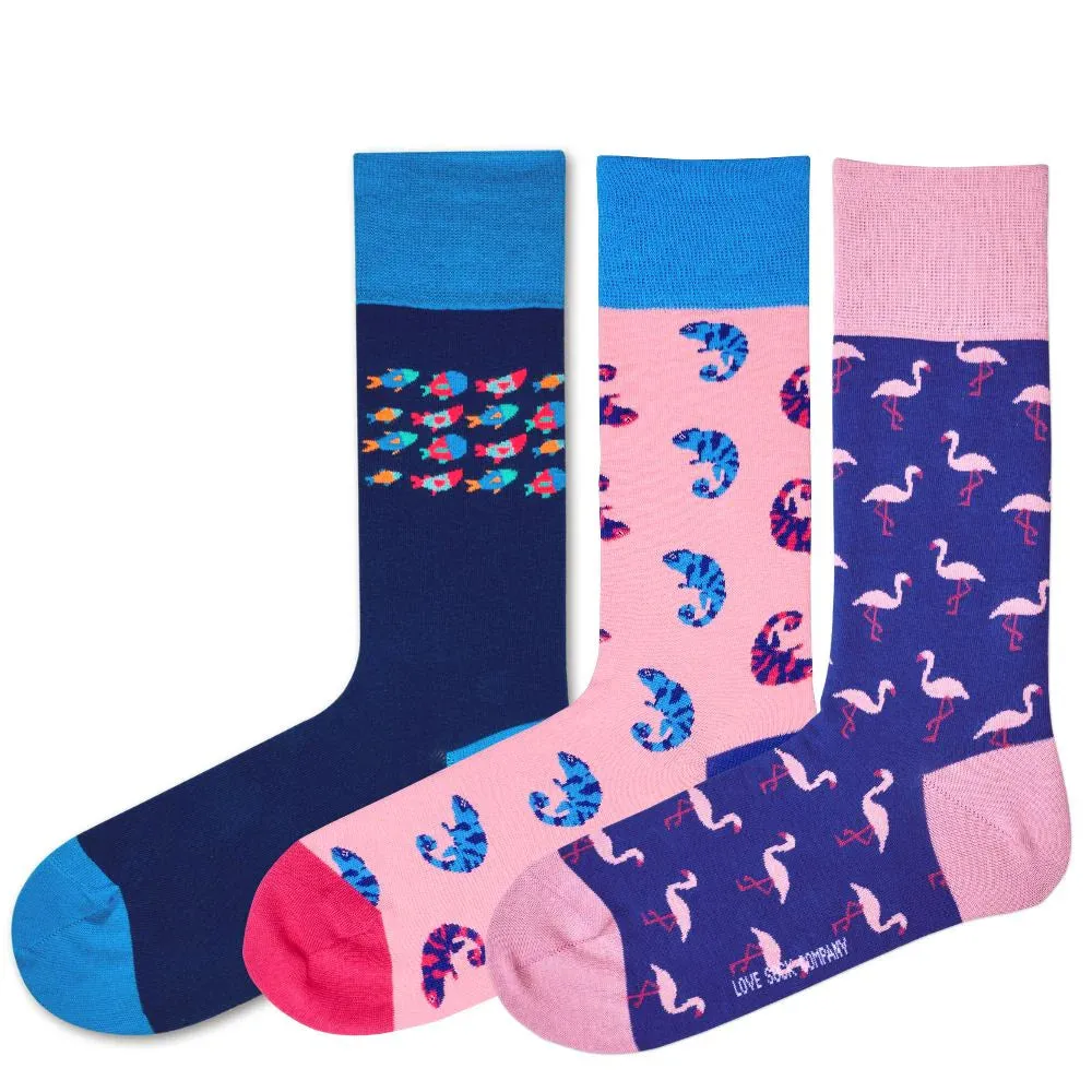 Women's Colorful Novelty Socks - 3 Pair Gift Box Set - Love Sock Company